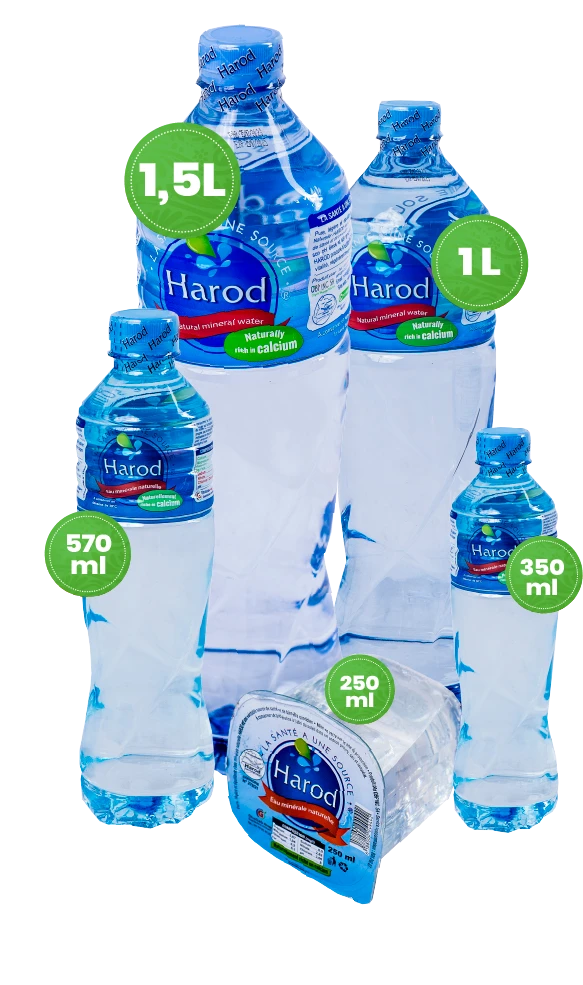 Harod’s existing bottle and cup collection